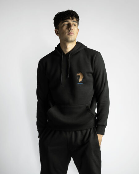 Illyrian Hoodie